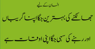 Urdu Quotes Archives | TestDunya